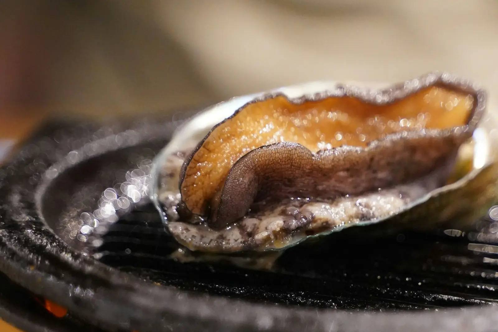 Eine frische Abalone wird in der Schale über Holzkohle gegrillt — einfache Küstenküche in Japan