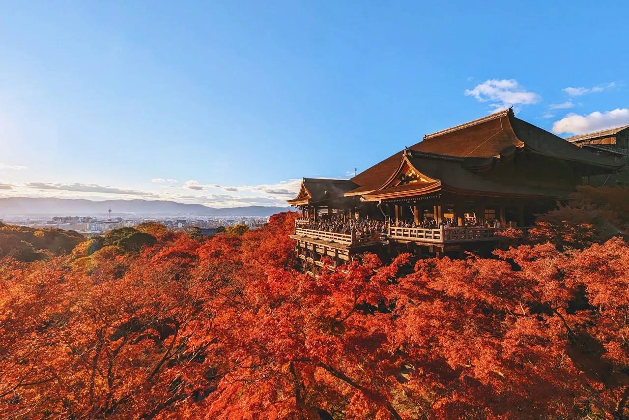 Leuchtend rotes Herbstlaub (Momiji) vor einem japanischen Tempel in Kyoto — der Höhepunkt der Kōyō-Saison