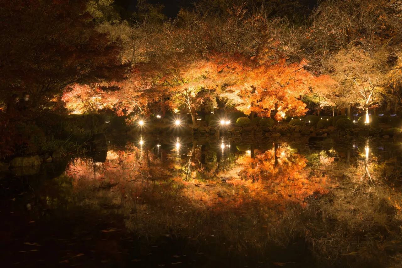 Beleuchtetes Herbstlaub bei Nacht (Yoru-Momiji), das sich in einem stillen Tempelteich spiegelt — rote und goldene Ahornbäume vor schwarzem Nachthimmel