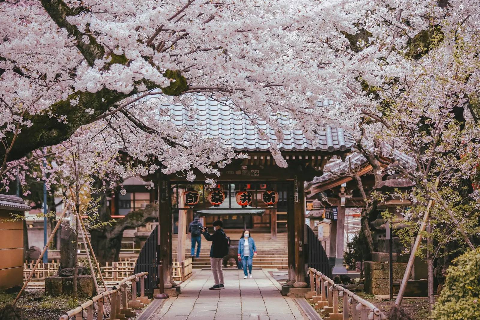 Bloeiende kersenbomen boven de toegangspoort van de tempel Arai Yakushi in Tokio; daaronder bezoekers in een spijkerjasje en een licht jasje.