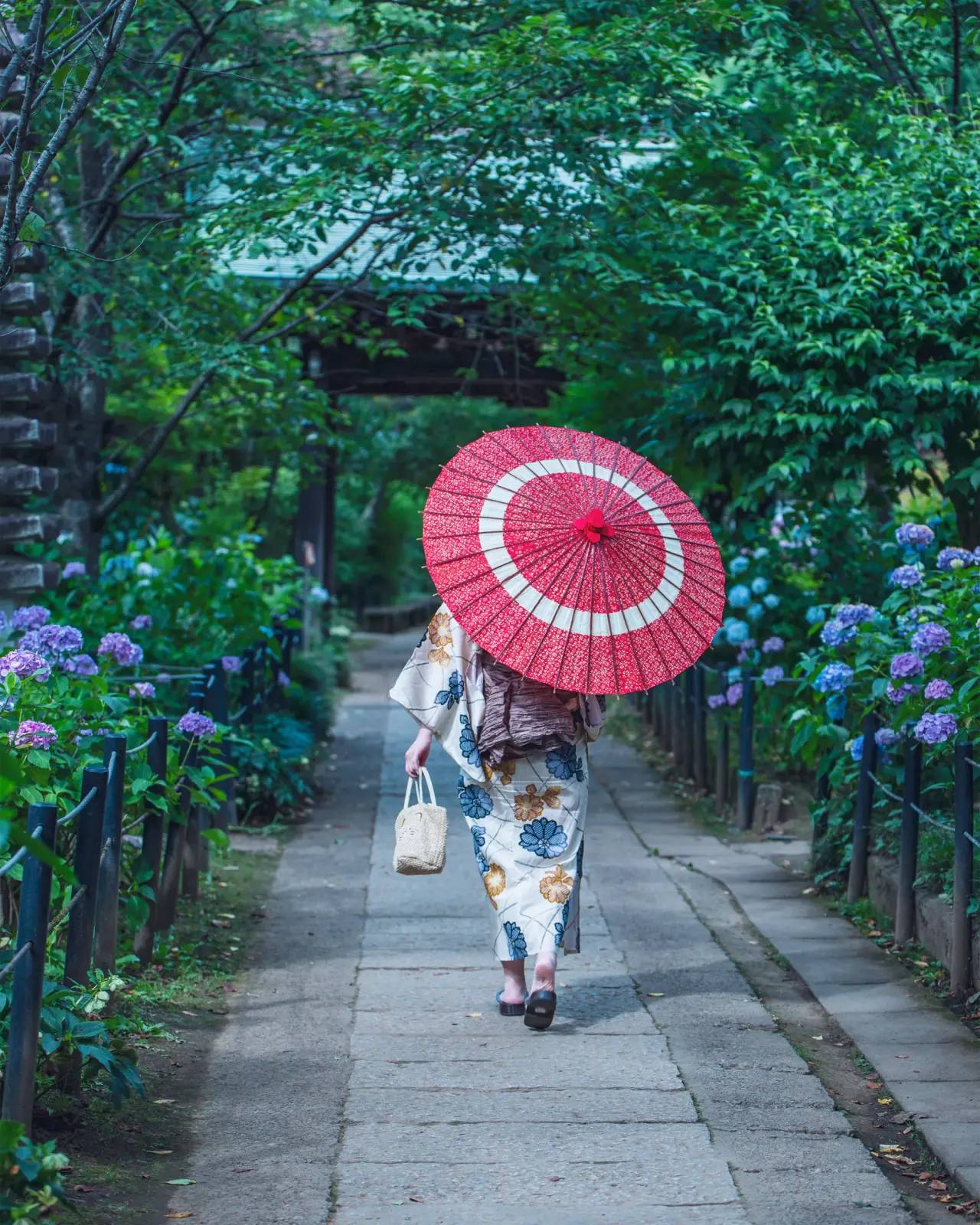 Regenzeit & Taifun in Japan 2026