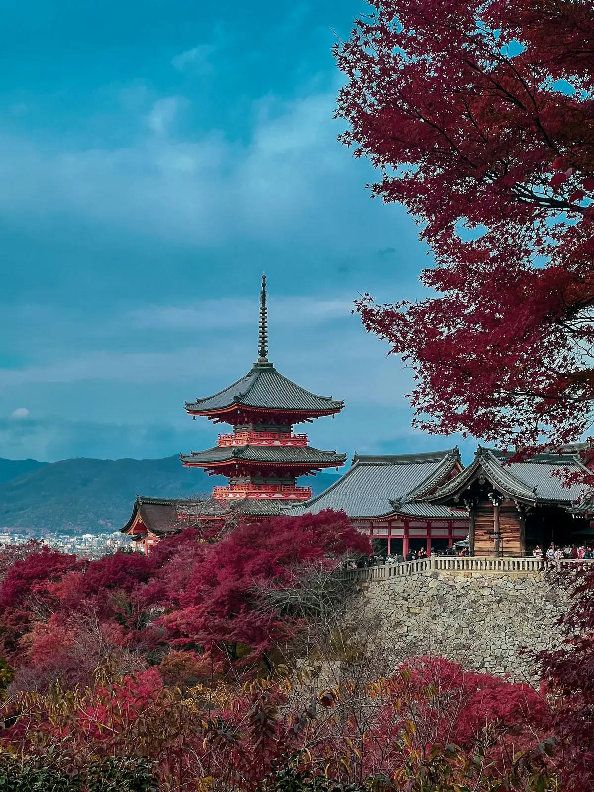 Japanischer Tempel umgeben von roten Ahornblättern — Koyo-Herbstlaub